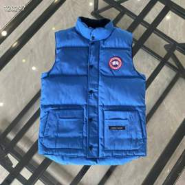 Picture of Canada Goose Down Jackets _SKUCanadaGooseXS-2XL26yr0537855